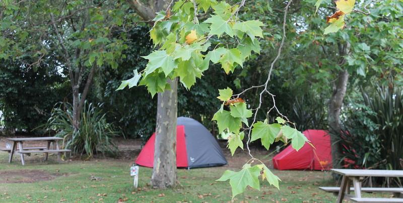 Turangi Holiday Park Exterior photo
